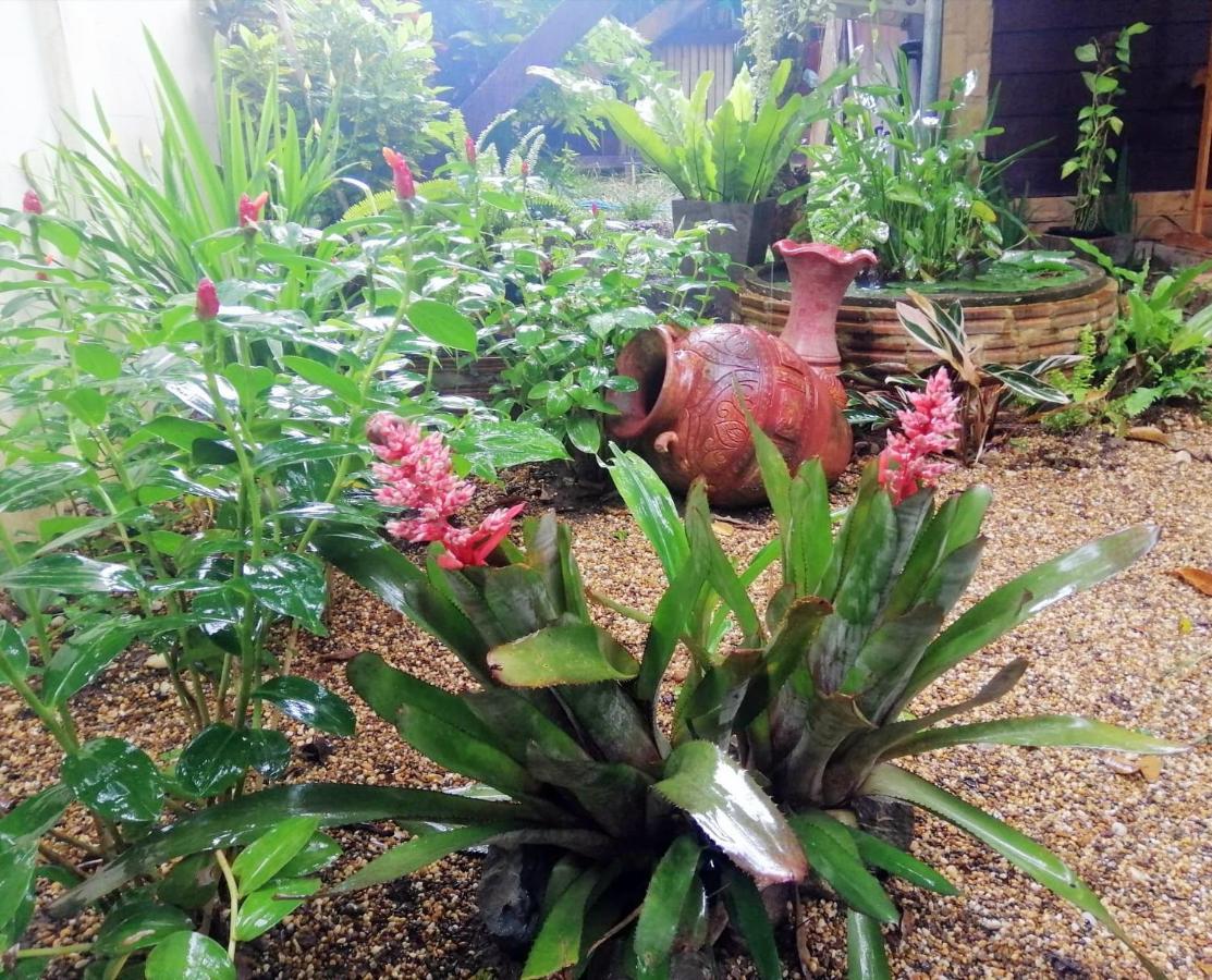 Homestay Chiangrai Τσιανγκ Ράϊ Εξωτερικό φωτογραφία